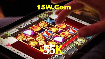 Sistemas de Segurança 55K